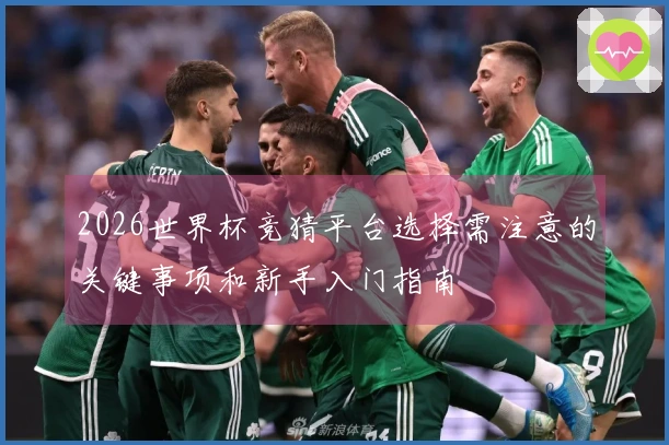 2026世界杯竞猜平台选择需注意的关键事项和新手入门指南