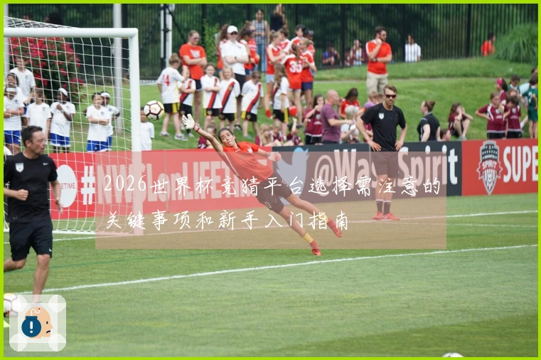2026世界杯竞猜平台选择需注意的关键事项和新手入门指南