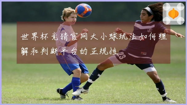 世界杯竞猜官网大小球玩法如何理解和判断平台的正规性