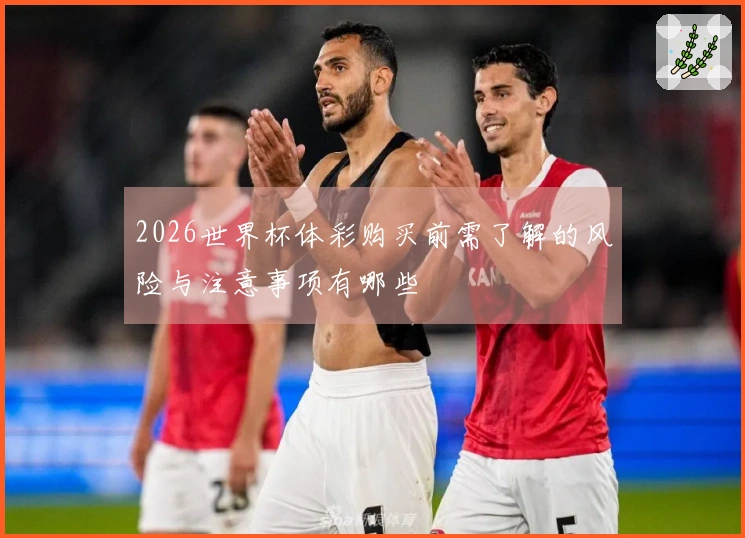 2026世界杯体彩购买前需了解的风险与注意事项有哪些